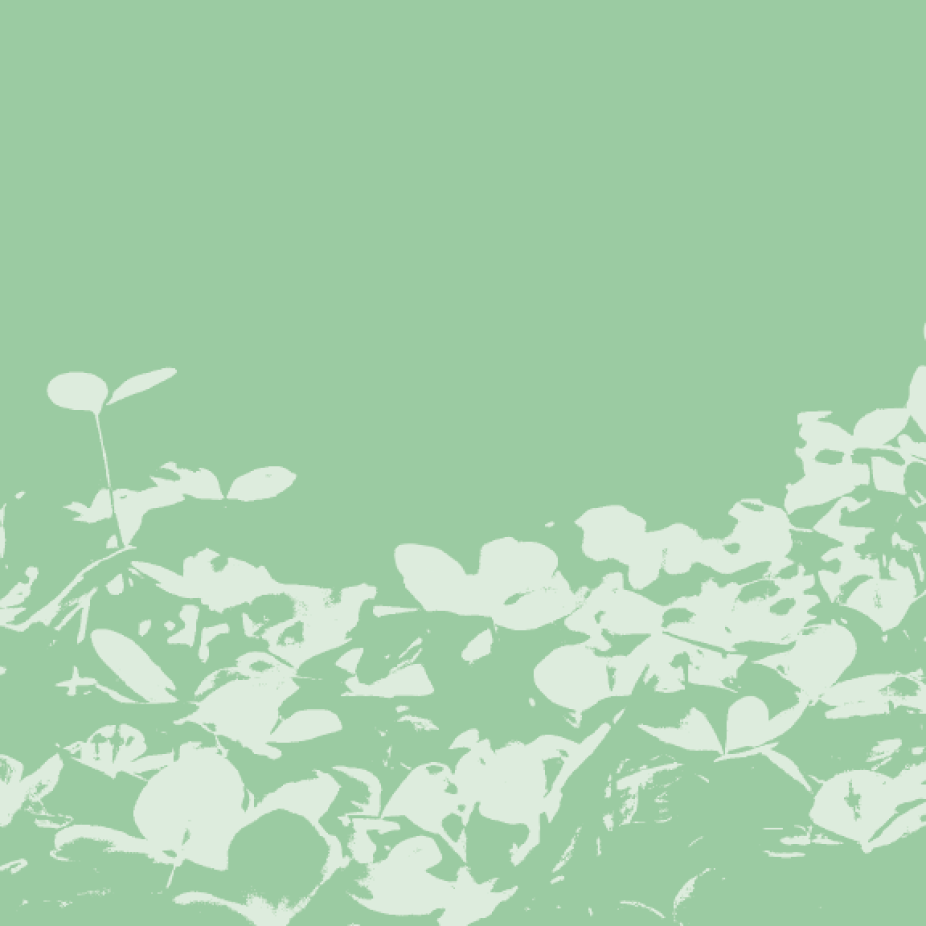 clover packaging